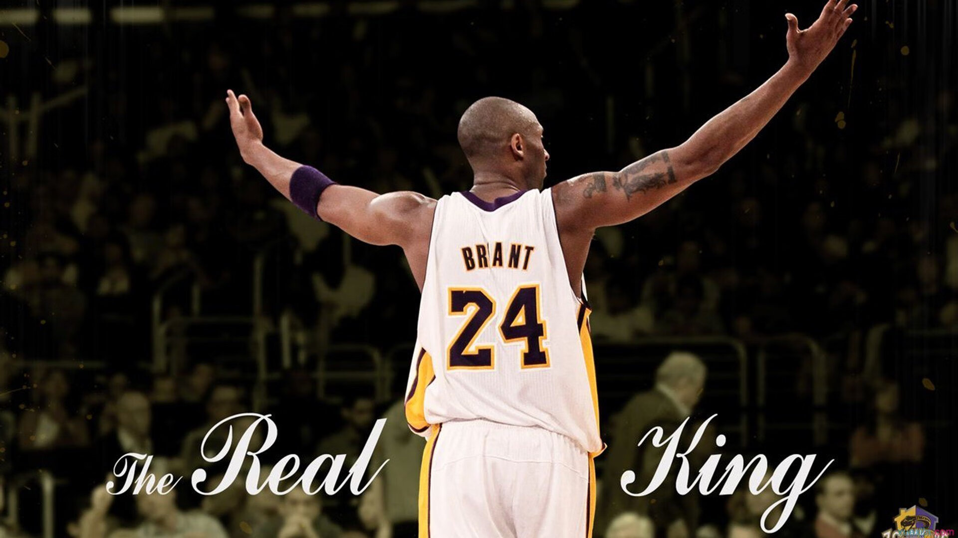 NBA伤病潮再度来袭多队调整临时轮换，nba伤病汇总